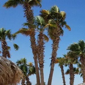 Meet your Posher, Arthuro